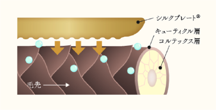 キューティクル層を整えるシルクプレートイメージ