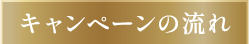 キャンペーンの流れ